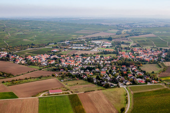 Vue aérienne de Champs agricoles et terres agricoles à Gundersheim dans le département Rhénanie-Palatinat, Allemagne