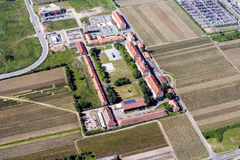 Le Quartier-Hornbach à Neustadt an der Weinstraße dans le département Rhénanie-Palatinat, Allemagne depuis l'avion