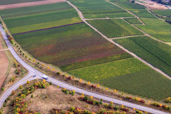 Vue aérienne de Vignoble sur le Wäschbach à Ober-Flörsheim dans le département Rhénanie-Palatinat, Allemagne