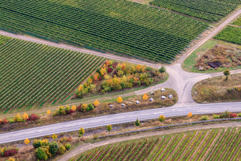 Photographie aérienne de Vignoble sur le Wäschbach à Ober-Flörsheim dans le département Rhénanie-Palatinat, Allemagne