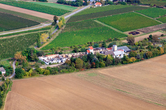 Vue aérienne de Bâtiment en ruine à la Farbfabrik à Flomborn dans le département Rhénanie-Palatinat, Allemagne