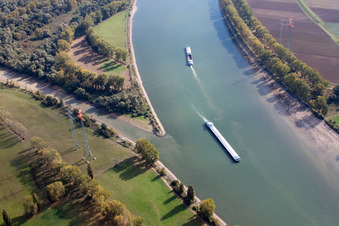 Vue aérienne de Les rives de l'estuaire de Lampertheimer Altrheinmündung à Worms marquent la frontière entre les Länder de Hesse et de Rhénanie-Palatinat. à Lampertheim dans le département Hesse, Allemagne