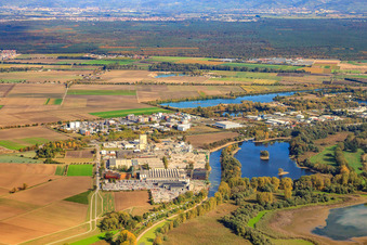 Vue aérienne de Acier d'armature et BASF Lampertheim de l'ouest à Lampertheim dans le département Hesse, Allemagne
