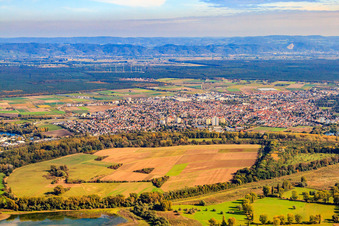 Vue aérienne de Réserve naturelle de Bodensand au milieu du Vieux Rhin de Lampertheim à Lampertheim dans le département Hesse, Allemagne