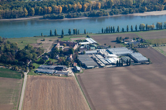 Vue aérienne de Ferme de Hofgut Petersau, producteur de Chio Chips, au bord du Rhin dans le district de Petersau (Palatinat) à le quartier Mörsch in Frankenthal dans le département Rhénanie-Palatinat, Allemagne