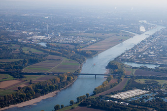 Vue aérienne de Île de Friesenheim à le quartier Sandhofen in Mannheim dans le département Bade-Wurtemberg, Allemagne