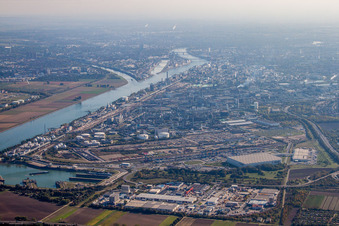 Vue aérienne de Locaux de l'usine du producteur de produits chimiques BASF (Porte 15 au nord de la gare de fret) à le quartier BASF in Ludwigshafen am Rhein dans le département Rhénanie-Palatinat, Allemagne