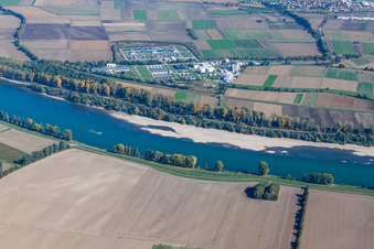 Vue aérienne de Bancs de sable au bord du Rhin et station d'épuration Sandhofen à le quartier Sandhofen in Mannheim dans le département Bade-Wurtemberg, Allemagne