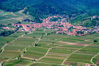 Vue aérienne de Situé au bord de la montagne à l'est à le quartier Diedesfeld in Neustadt an der Weinstraße dans le département Rhénanie-Palatinat, Allemagne