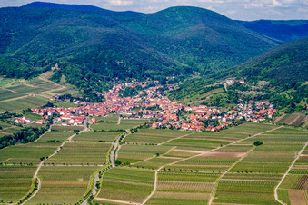 Vue oblique de Situé au bord de la montagne à l'est à le quartier Diedesfeld in Neustadt an der Weinstraße dans le département Rhénanie-Palatinat, Allemagne