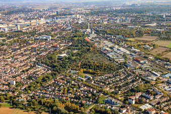 Vue aérienne de Ebertpark et la zone industrielle du nord-ouest à le quartier Friesenheim in Ludwigshafen am Rhein dans le département Rhénanie-Palatinat, Allemagne