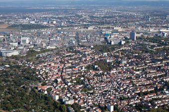 Vue aérienne de Locaux de l'usine du producteur de produits chimiques BASF à à le quartier Friesenheim in Ludwigshafen am Rhein dans le département Rhénanie-Palatinat, Allemagne