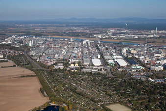 Nord à le quartier BASF in Ludwigshafen am Rhein dans le département Rhénanie-Palatinat, Allemagne vue d'en haut