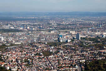 Vue aérienne de BASF Sud à le quartier Friesenheim in Ludwigshafen am Rhein dans le département Rhénanie-Palatinat, Allemagne