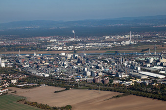 Nord à le quartier BASF in Ludwigshafen am Rhein dans le département Rhénanie-Palatinat, Allemagne depuis l'avion