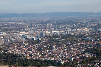 Vue aérienne de BASF Sud à le quartier Friesenheim in Ludwigshafen am Rhein dans le département Rhénanie-Palatinat, Allemagne