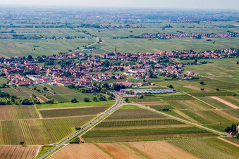 Vue aérienne de Lieu dans les vignobles du nord à Edesheim dans le département Rhénanie-Palatinat, Allemagne