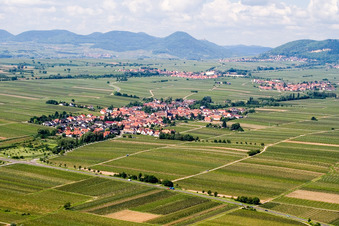 Vue aérienne de Vignobles à Roschbach dans le département Rhénanie-Palatinat, Allemagne