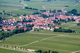 Vue aérienne de Lieu dans les vignobles du nord-est à Roschbach dans le département Rhénanie-Palatinat, Allemagne