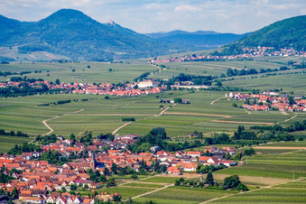 Vue aérienne de Lieu dans les vignobles du nord-est à Roschbach dans le département Rhénanie-Palatinat, Allemagne
