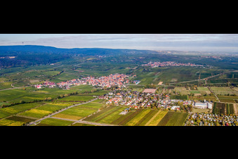 Vue aérienne de Panorama des vignes en bordure du Haardt à Kallstadt dans le département Rhénanie-Palatinat, Allemagne