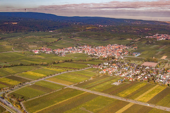 Vue aérienne de Village viticole du sud-est à le quartier Ungstein in Bad Dürkheim dans le département Rhénanie-Palatinat, Allemagne