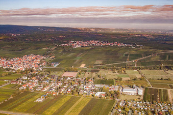Vue aérienne de Quartier du sud à le quartier Ungstein in Bad Dürkheim dans le département Rhénanie-Palatinat, Allemagne