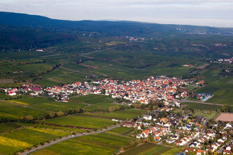 Vue aérienne de Vignobles et terres agricoles à le quartier Ungstein in Bad Dürkheim dans le département Rhénanie-Palatinat, Allemagne