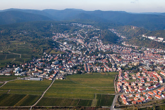 Vue aérienne de De l'est à le quartier Seebach in Bad Dürkheim dans le département Rhénanie-Palatinat, Allemagne