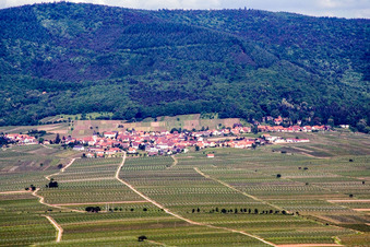Vue aérienne de Place dans les vignes de l'est à Weyher in der Pfalz dans le département Rhénanie-Palatinat, Allemagne