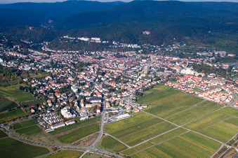 Vue aérienne de Route des vins S à Bad Dürkheim dans le département Rhénanie-Palatinat, Allemagne