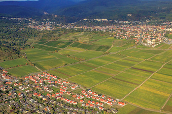 Vue aérienne de Route des vins du Palatinat à le quartier Seebach in Bad Dürkheim dans le département Rhénanie-Palatinat, Allemagne