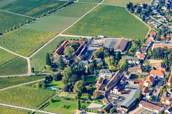 Vue aérienne de Domaine viticole Villa Wolf et Dr. Bürklin-Wolf à Wachenheim an der Weinstraße dans le département Rhénanie-Palatinat, Allemagne