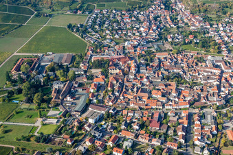 Vue aérienne de Vue des rues et des maisons dans les quartiers résidentiels à Wachenheim an der Weinstraße dans le département Rhénanie-Palatinat, Allemagne