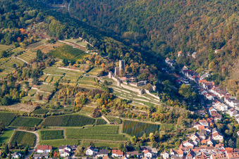 Vue aérienne de Ruines et vestiges des murs de l'ancien complexe du château de Wachtenburg (ruines du « château de Wachenheim ») à Wachenheim an der Weinstraße dans le département Rhénanie-Palatinat, Allemagne