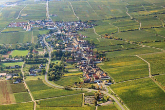 Vue aérienne de Village viticole du nord à Forst an der Weinstraße dans le département Rhénanie-Palatinat, Allemagne