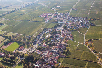 Vue aérienne de Champs viticoles et terres agricoles à Forst an der Weinstraße dans le département Rhénanie-Palatinat, Allemagne