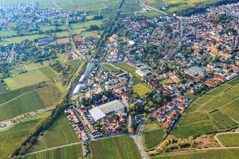 Vue aérienne de Route des vins à Deidesheim dans le département Rhénanie-Palatinat, Allemagne