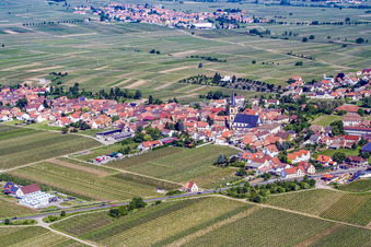 Vue aérienne de Lieu dans les vignobles du sud-est à Edesheim dans le département Rhénanie-Palatinat, Allemagne