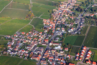 Vue aérienne de Route des vins à Forst an der Weinstraße dans le département Rhénanie-Palatinat, Allemagne