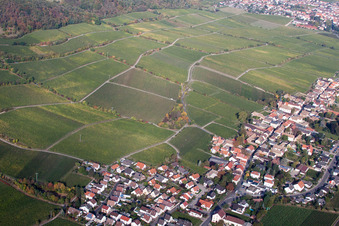 Vue aérienne de Vignoble Jesuitenmandel à Forst an der Weinstraße dans le département Rhénanie-Palatinat, Allemagne