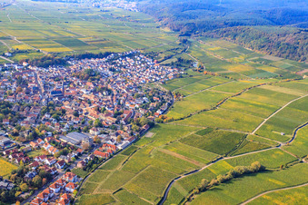 Vue aérienne de Ville viticole du nord à Deidesheim dans le département Rhénanie-Palatinat, Allemagne