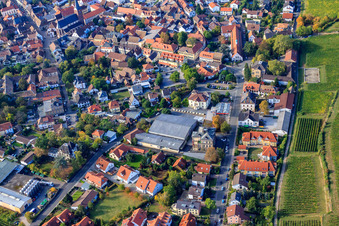 Vue aérienne de Association des vignerons Deidesheim à Deidesheim dans le département Rhénanie-Palatinat, Allemagne