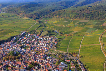 Vue aérienne de Ville viticole du nord à Deidesheim dans le département Rhénanie-Palatinat, Allemagne