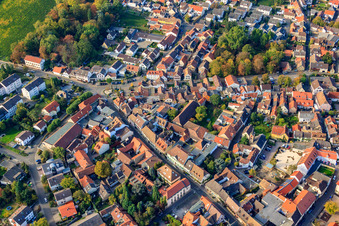 Vue aérienne de Cité viticole et jardin royal à Deidesheim dans le département Rhénanie-Palatinat, Allemagne