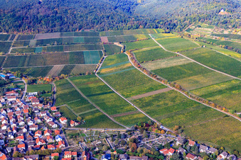 Vue aérienne de Vignoble Deidesheimer Hohenmorgen à Deidesheim dans le département Rhénanie-Palatinat, Allemagne