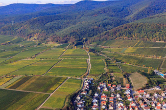 Vue aérienne de Vignoble Deidesheimer Paradiesgarten à Deidesheim dans le département Rhénanie-Palatinat, Allemagne