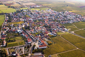 Vue aérienne de Vignobles du district de Königsbach à Ruppertsberg dans le département Rhénanie-Palatinat, Allemagne