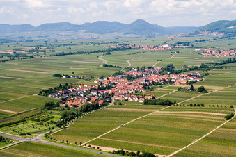 Vue aérienne de Vignobles à Roschbach dans le département Rhénanie-Palatinat, Allemagne