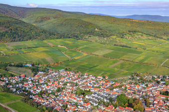 Vue aérienne de Vignobles de Deidesheimer Maushöhle et Hohenmorgen à Deidesheim dans le département Rhénanie-Palatinat, Allemagne
